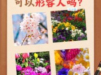 繁花似锦的意思及造句怎么写？中小学生必备的成语知识