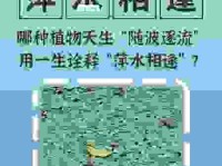 萍水相逢是什么意思？带你深入了解这个成语的含义