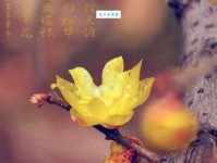 短发 音译的意思：不仅仅是发型，更是一种态度