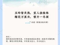 桂林杏苑的意思解释、造句、出处典故、成语接龙