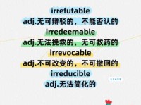 counter是什么意思 简单解释counter的常见用法