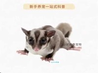 蜜袋鼯怎么读？蜜袋鼯的读音和意思