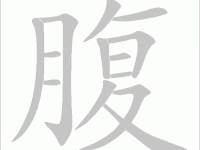 肚的多音字组词信息