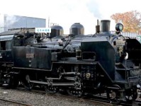 杏字取名吉凶杏字解释意思及成语大全