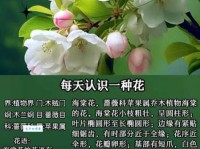 雅俗共赏近义词大盘点，你都认识几个？