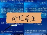 死得其所的所是什么意思 原来是指这个意思