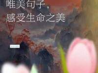 生生不息的意思是什么？详解生生不息的含义和出处