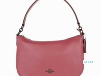 Chelsea是什么意思_Chelsea的中文翻译