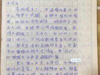 我心中最美的家（小学五年级想象作文500字）