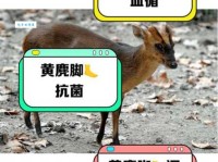 鹿鹿是什么意思，为什么大家都爱叫它？