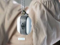 heat seeking是什么意思_heat seeking的中文翻译