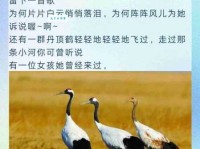 都说闲云野鹤，闲云野鹤到底是什么意思？