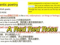 SUCK MY DISK是什么意思啊？一篇文章带你全面了解！