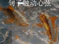 缺月再圆是啥意思你知道吗？看这里就对了！