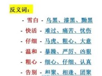 还在为“失去”的反义词苦恼？这里有答案