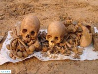 残骸是什么意思 简单解释残骸的定义和常见例子