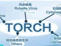 torch的含义是什么？全面解读torch在医学领域的应用
