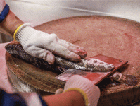 老八辈子的意思解析，教你如何在日常生活中准确使用！