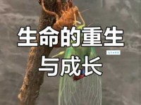 金蝉脱壳是什么意思？老祖宗的智慧不得不服！