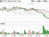 逞娇呈美是什么意思：解读这一独特现象背后的内涵与思考