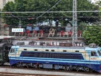 苏丽珍：名字的美学与五行吉凶