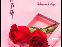 百度热搜：女神节经典说说大全，祝所有女神节日快乐