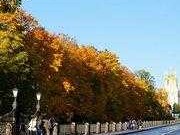 莆田系是什么意思：从地方到全国的医疗商业帝国