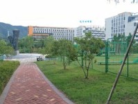 断离的意思：重获自由的勇气