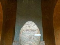 龟趺是什么意思好理解吗？专家帮你三分钟看懂！