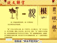 土生土长的意思是什么？快看这里的详细解释！