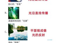 快速了解光丽是什么意思？看这篇就够了！