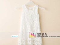 铩羽而归是指什么意思：失败中的反思与重生