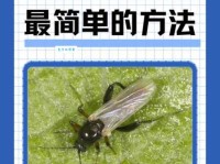 worm是什么意思 一分钟搞懂worm的意思