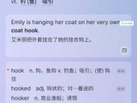 hook是什么意思_hook的中文翻译