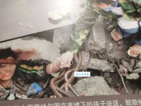 杉字取名吉凶杉字解释意思及成语大全