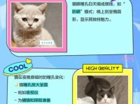 昨夜是什么意思？它和“昨天晚上”有区别吗？