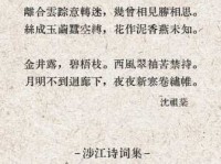 空将汉月出宫门，忆君清泪如铅水。