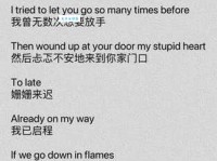 stupid是什么意思？不同语境下stupid的多种解释