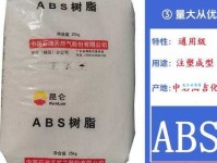 栖鸟于泉是什么意思：静谧中的灵动之美