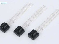 食新的意思：探索味蕾的无限可能