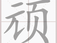 顽组词_顽字组词