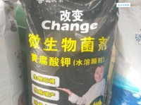 居来提：五行解析与名字评分