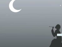 茕茕孑立，形影相吊。