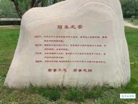 前车之鉴是什么意思？简单解释及例句分享