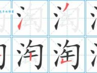 淘组词_淘字组词