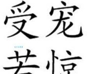 受宠若惊的意思