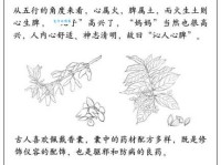 沁人心脾的意思是什么 这个成语原来这么美