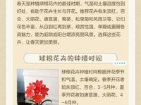 根壮叶茂是什么意思 养花种菜必知的生长规律