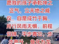 平步青云的意思解析如何实现人生快速提升