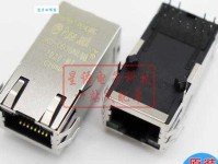 星河之下，人与自然的和谐共存